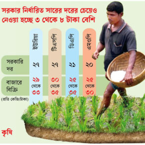 ধান আবাদের সুসময়ে চাষির দুঃসময় ধান আবাদের সুসময়ে চাষির দুঃসময়