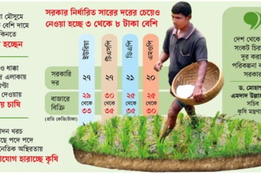 ধান আবাদের সুসময়ে চাষির দুঃসময় ধান আবাদের সুসময়ে চাষির দুঃসময়