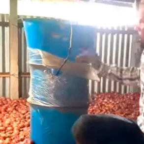 পেঁয়াজ সংরক্ষণে বসছে চার হাজার এয়ার-ফ্লো মেশিন পেঁয়াজ সংরক্ষণে বসছে চার হাজার এয়ার-ফ্লো মেশিন