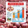 দ্বিগুণ পেঁয়াজের দাম, অনুসন্ধানে বেরিয়ে এলো ‘ভয়ংকর’ তথ্য দ্বিগুণ পেঁয়াজের দাম, অনুসন্ধানে বেরিয়ে এলো ‘ভয়ংকর’ তথ্য