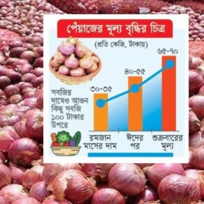 দ্বিগুণ পেঁয়াজের দাম, অনুসন্ধানে বেরিয়ে এলো ‘ভয়ংকর’ তথ্য দ্বিগুণ পেঁয়াজের দাম, অনুসন্ধানে বেরিয়ে এলো ‘ভয়ংকর’ তথ্য